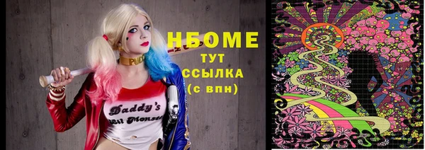 прущий лед Алзамай