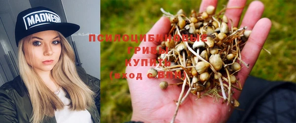 прущий лед Алзамай