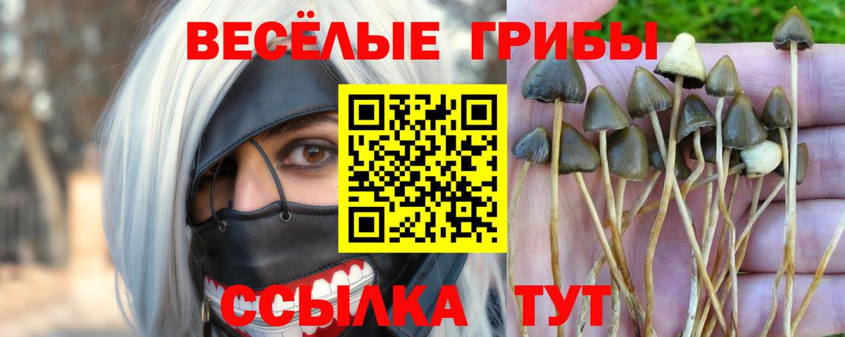 Галлюциногенные грибы Cubensis  Вход с VPN  Пермь 